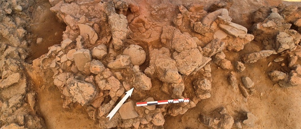 Καρδίτσα - ανασκαφή - Βοτανικός Κήπος - Λίμνη Πλαστήρα Καρδίτσα - ανασκαφή - Βοτανικός Κήπος - Λίμνη Πλαστήρα