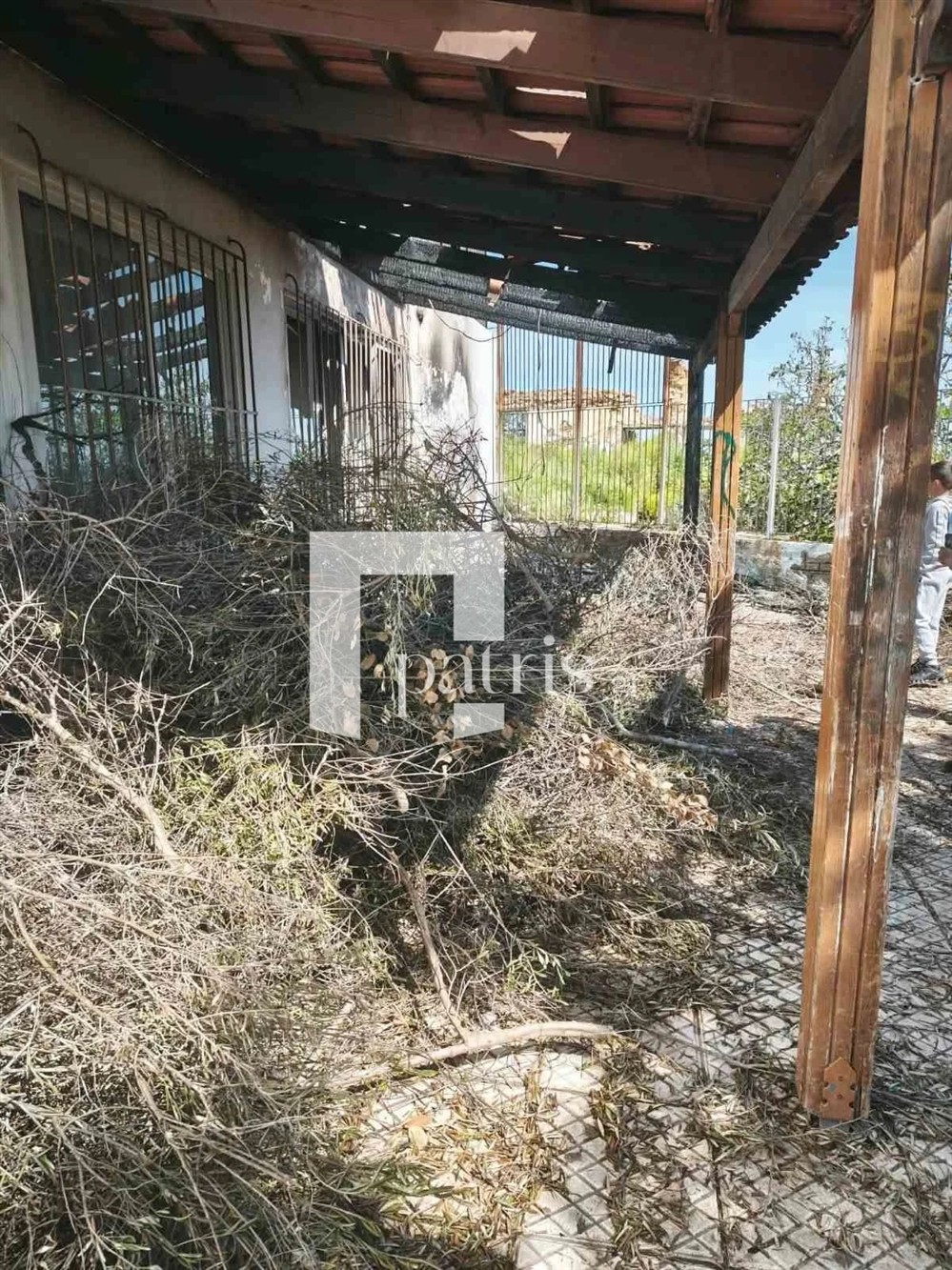 Χανιά-σχολείο-φωτιά