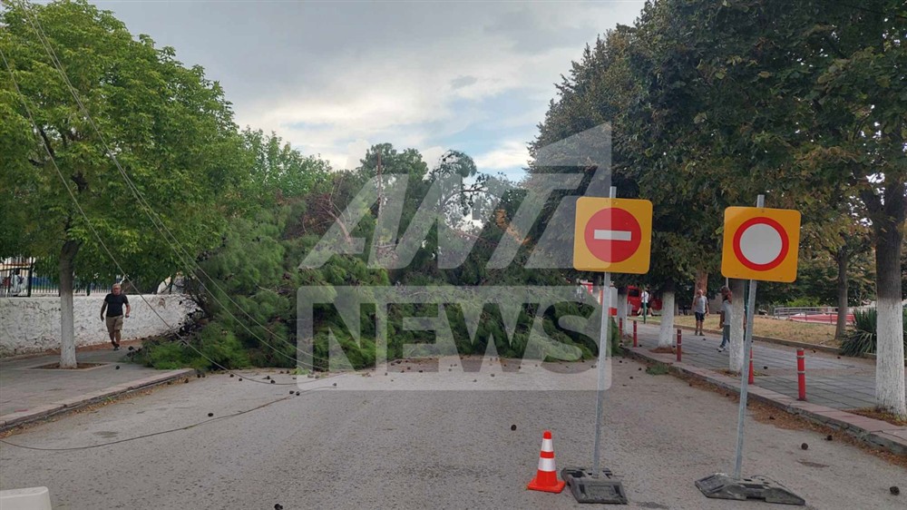 Θεσσαλονίκη - Κακοκαιρία - Δέντρα Θεσσαλονίκη - Κακοκαιρία - Δέντρα