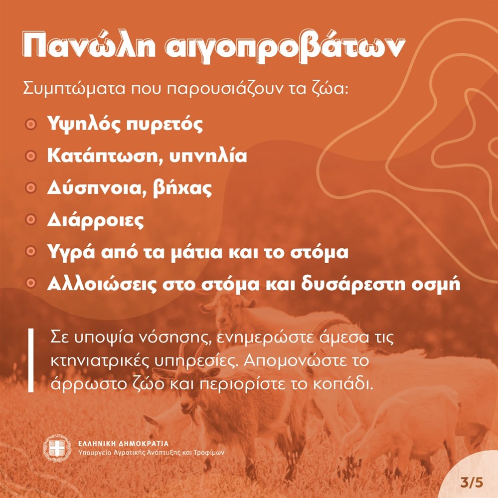 Πανώλη - Πρόβατα Πανώλη - Πρόβατα