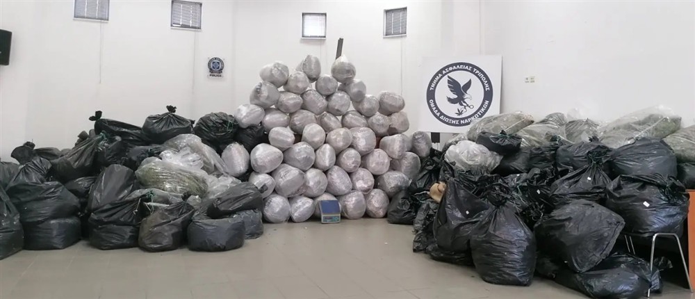 Τρίπολη - χασισοφυτεία - δενδρύλλια κάνναβης Τρίπολη - χασισοφυτεία - δενδρύλλια κάνναβης