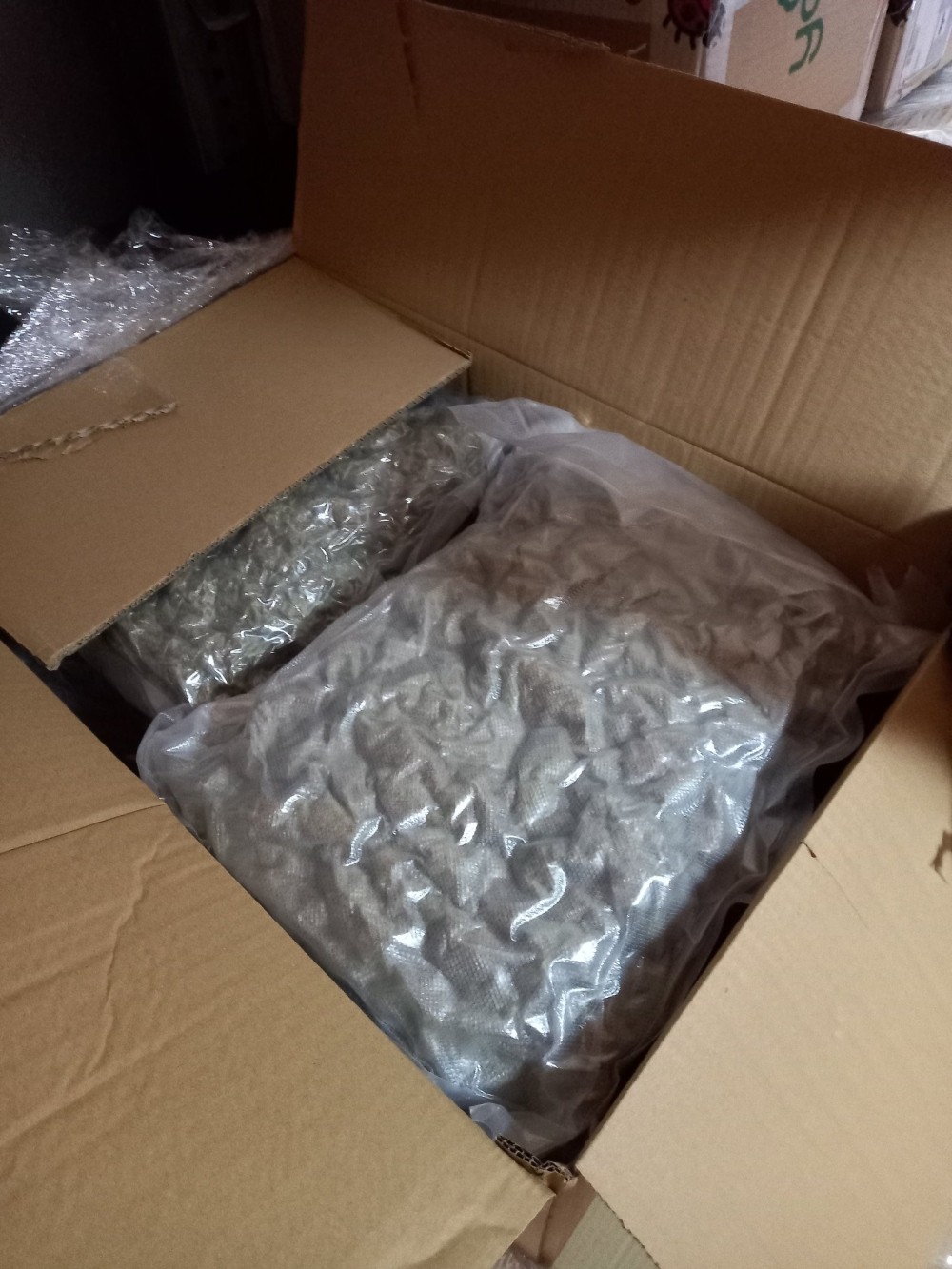 Ναρκωτικά - Ηγουμενίτσα - Χίος Ναρκωτικά - Ηγουμενίτσα - Χίος