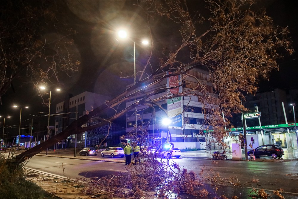 Πτώση δέντρου - Οδός Πειραιώς Πτώση δέντρου - Οδός Πειραιώς