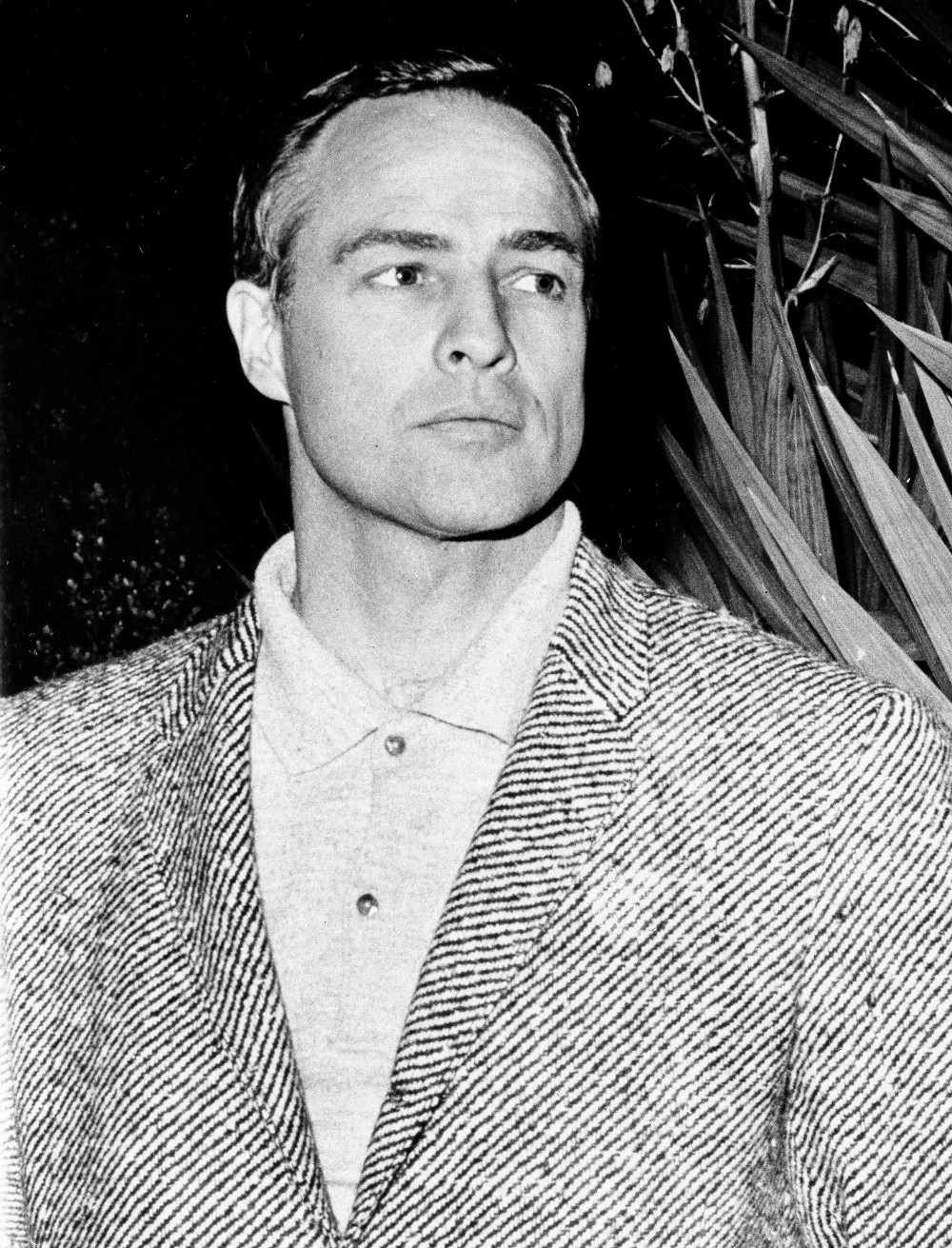 Μάρλον Μπράντο - Αφιερώμα