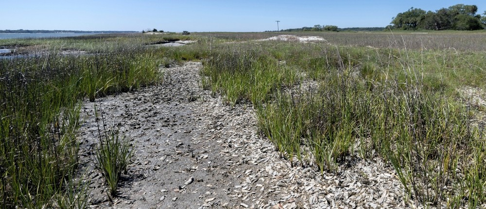 AP - κλιματική αλλαγή - ξηρασία AP - κλιματική αλλαγή - ξηρασία