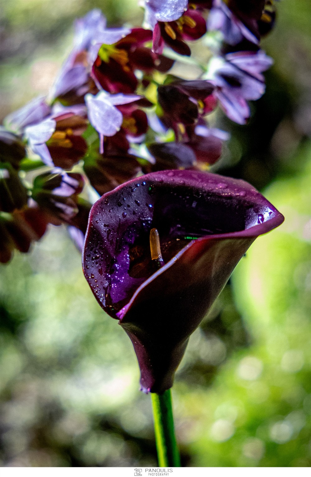 DELTA VENUE DELTA VENUE