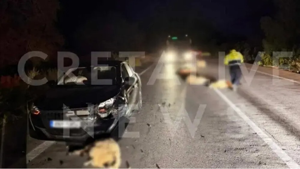 Τροχαίο - Κρήτη - Πρόβατα Τροχαίο - Κρήτη - Πρόβατα