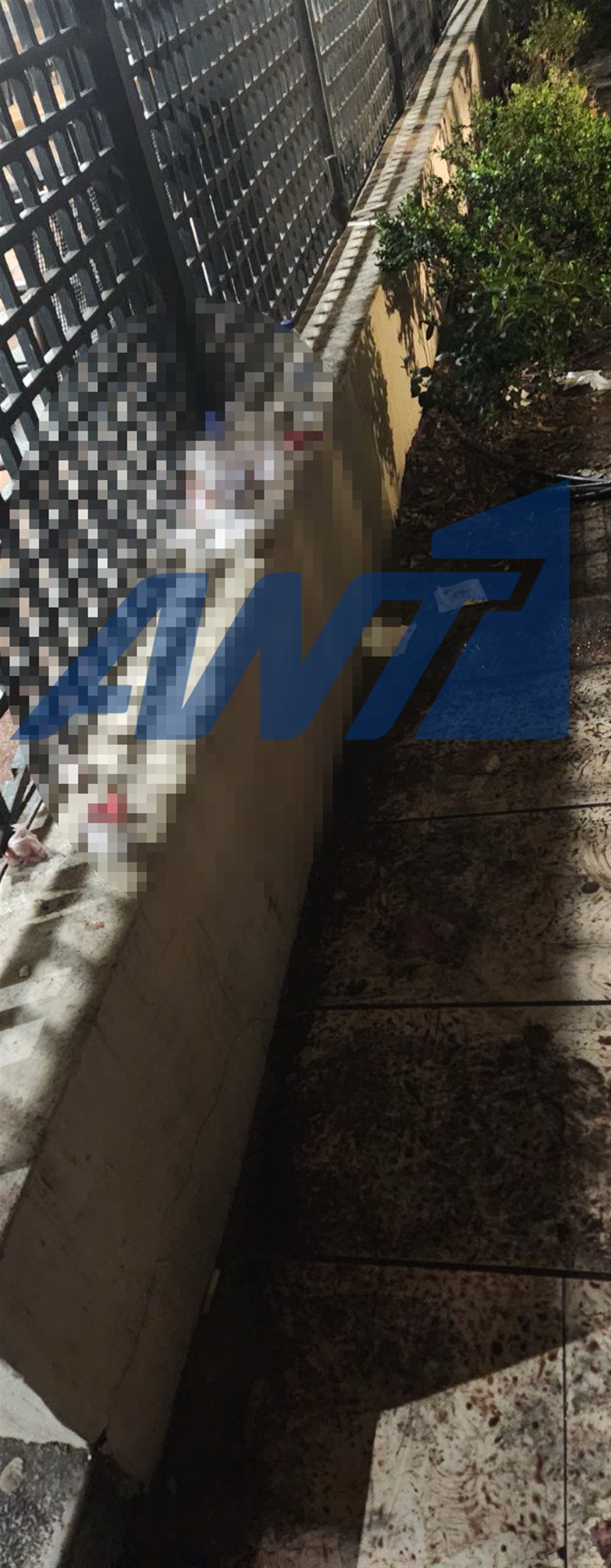 Κηφισιά - Επίθεση κουκουλοφόρων σε παρέα ανήλικων - Σοβαρά τραυματισμένος ένας 17χρονος Κηφισιά - Επίθεση κουκουλοφόρων σε παρέα ανήλικων - Σοβαρά τραυματισμένος ένας 17χρονος