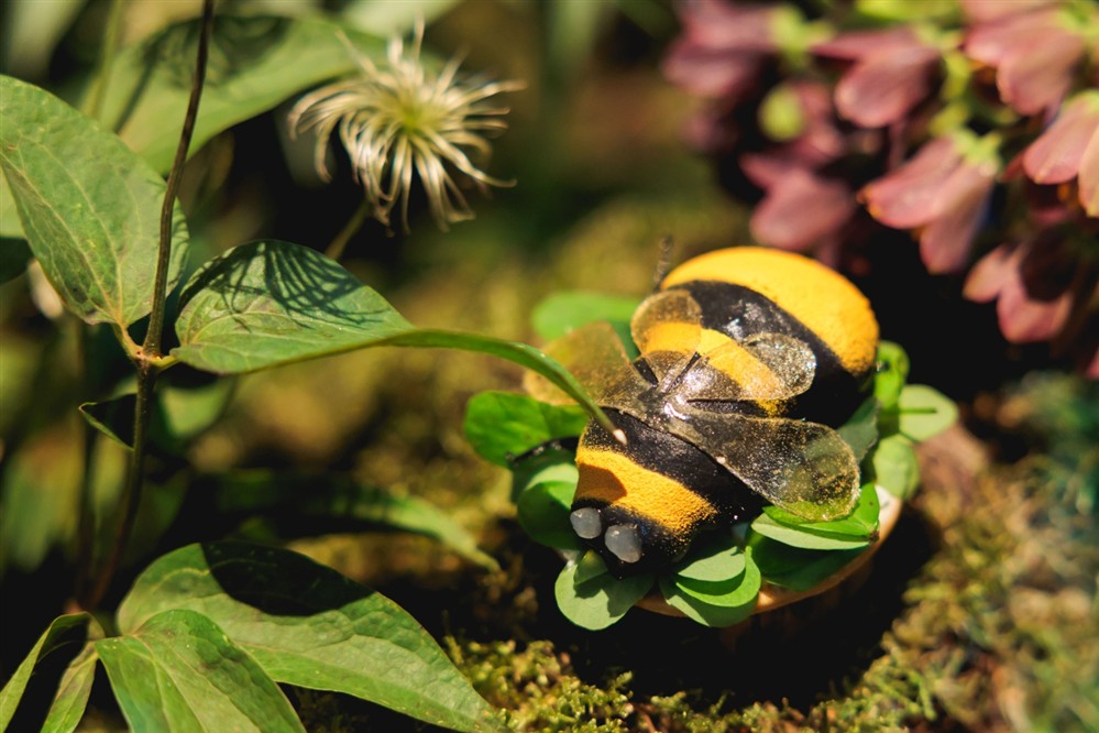 DELTA VENUE DELTA VENUE