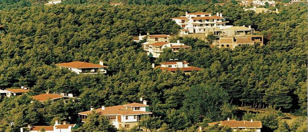 αυθαίρετα - δάσος αυθαίρετα - δάσος