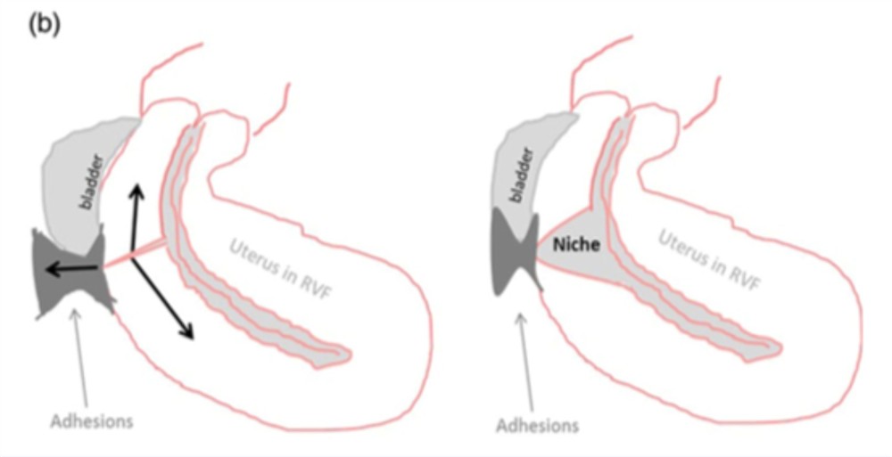 HHG - ΣΥΡΙΟΣ ΚΩΝΣΤΑΝΤΙΝΟΣ HHG - ΣΥΡΙΟΣ ΚΩΝΣΤΑΝΤΙΝΟΣ