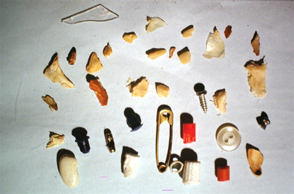 HGG - ΚΟΥΔΟΥΜΝΑΚΗΣ ΕΜΜΑΝΟΥΗΛ HGG - ΚΟΥΔΟΥΜΝΑΚΗΣ ΕΜΜΑΝΟΥΗΛ