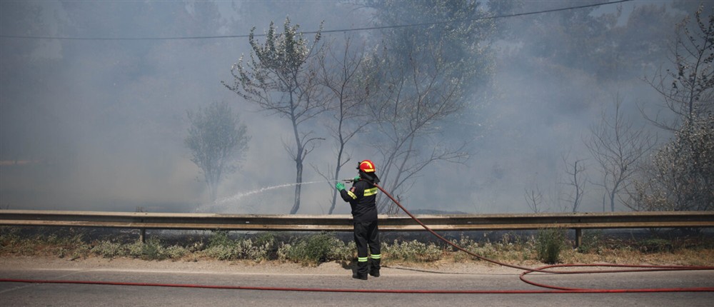 ΦΩΤΙΑ - ΛΑΡΙΣΑ