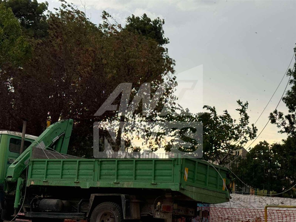 Θεσσαλονίκη - Κακοκαιρία - Δέντρα Θεσσαλονίκη - Κακοκαιρία - Δέντρα