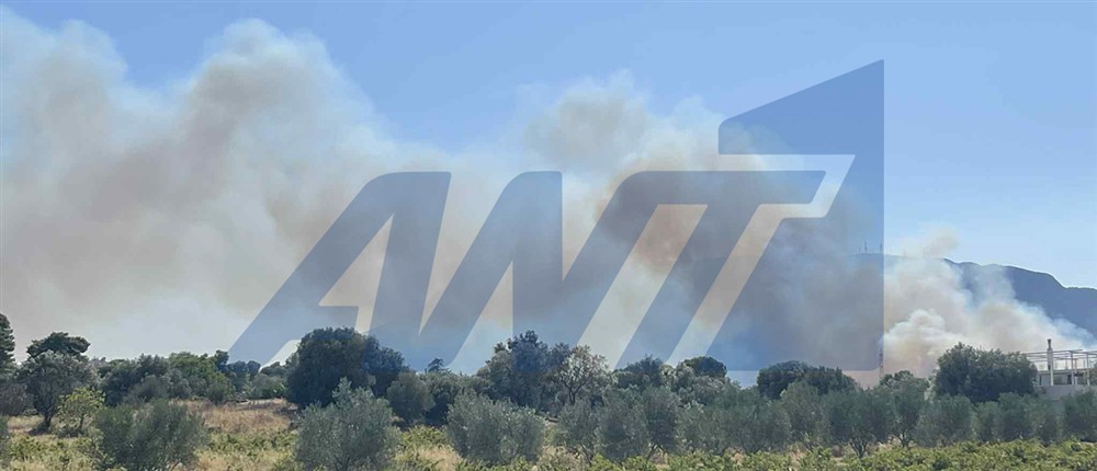 Η εικόνα της φωτιάς στην Παιανία Η εικόνα της φωτιάς στην Παιανία