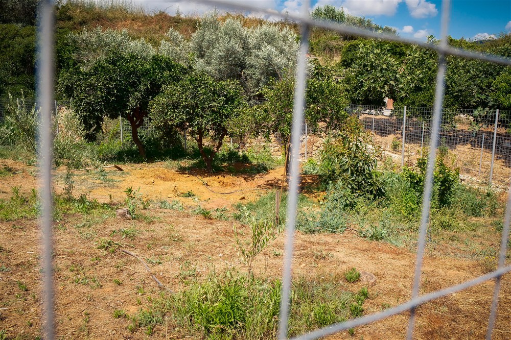 χανια-εξαφανιση - χωραφι