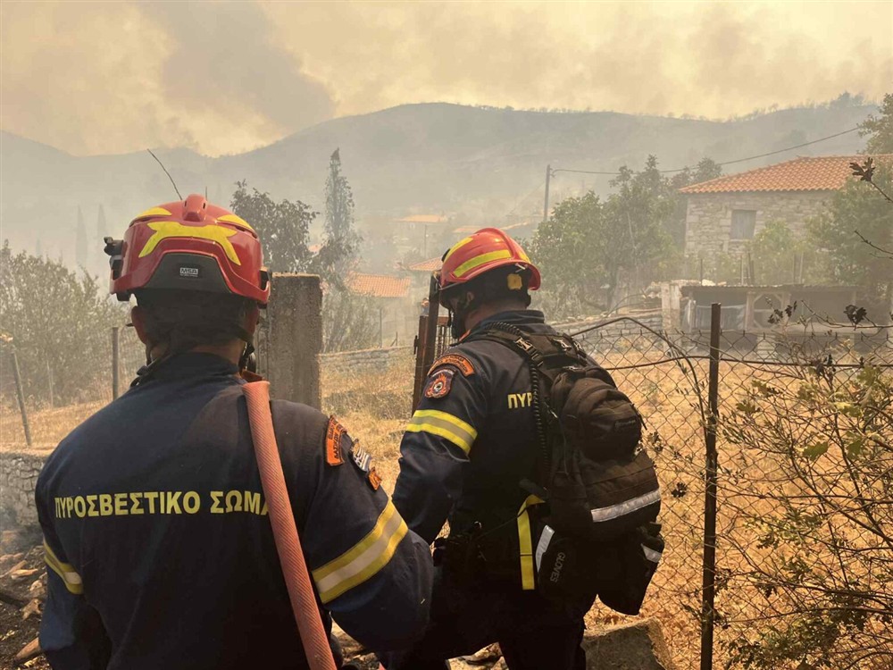 φωτιά - Μεσσηνία - Κρυονέρι φωτιά - Μεσσηνία - Κρυονέρι