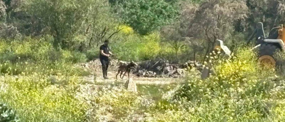 Τέμπη - σκυλιά - οικόπεδο