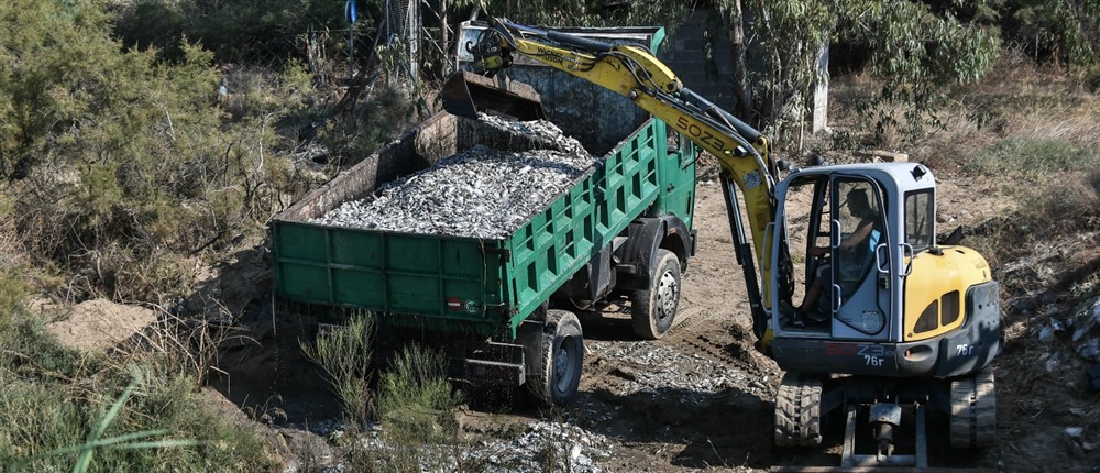 Βόλος - νεκρά ψάρια Βόλος - νεκρά ψάρια