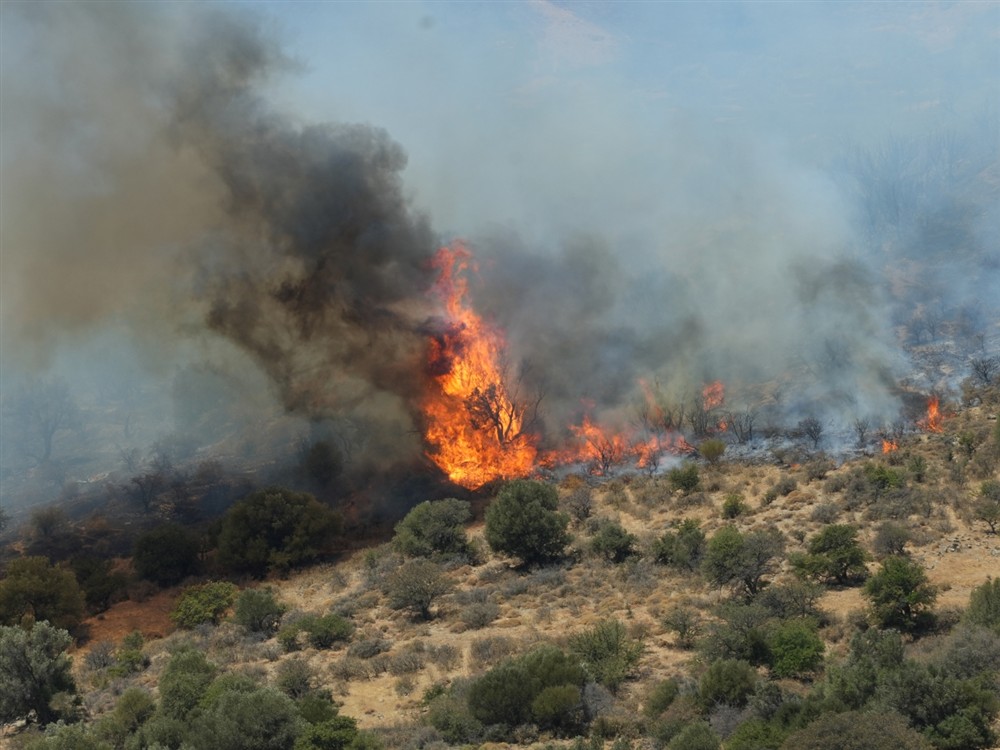 Ρέθυμνο - φωτιά Ρέθυμνο - φωτιά