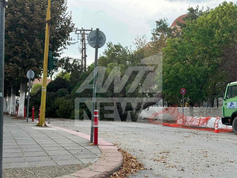 Θεσσαλονίκη - Κακοκαιρία - Δέντρα Θεσσαλονίκη - Κακοκαιρία - Δέντρα