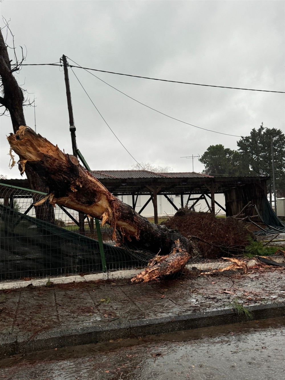 Κακοκαιρία Bora - Πλαταμώνας