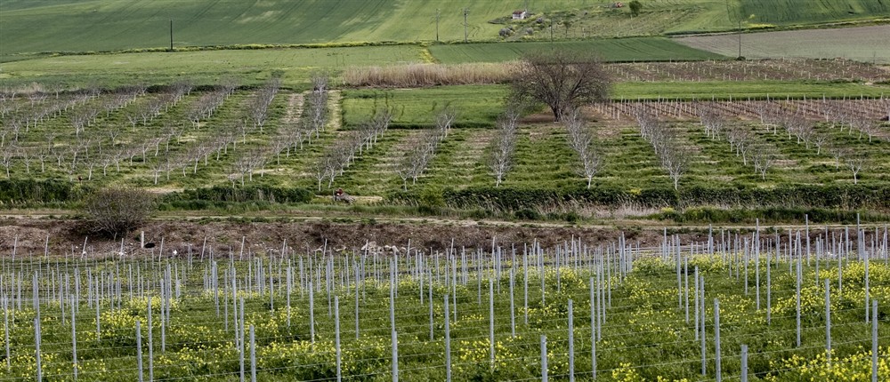 Αγρότες - Καλλιέργειες - Χωράφια - τρακτέρ Αγρότες - Καλλιέργειες - Χωράφια - τρακτέρ