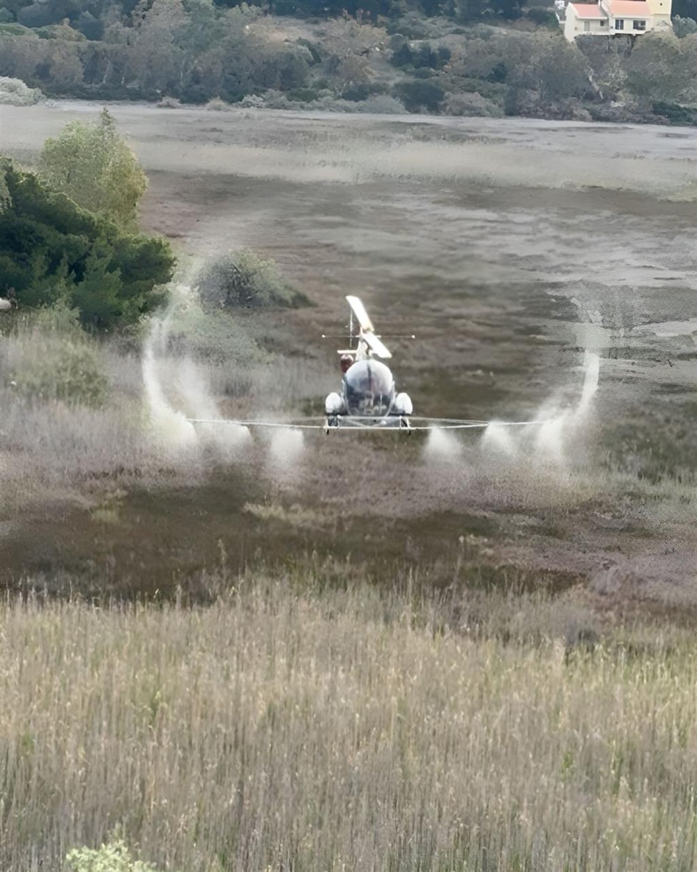 Χαρδαλιάς - Δήμος - Αττικής - Κουνούπια Χαρδαλιάς - Δήμος - Αττικής - Κουνούπια