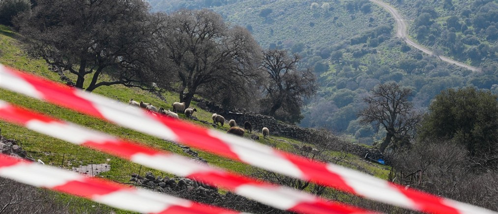 Αφθώδης πυρετός στη Λέσβο: Μάχη για την εκρίζωση της νόσου