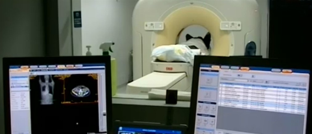 Ιταλία: Νήπιο κινδυνεύει να χάσει τη ζωή του από κατεστραμμένο μόσχευμα