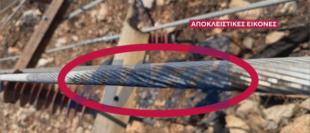 Πύρινος όλεθρος στην Αττικοβοιωτία: Ο ΑΝΤ1 αποκάλυψε εικόνες-ντοκουμέντο από την αυτοψία των ερευνητών από το σημείο που ξεκίνησε η πυρκαγιά