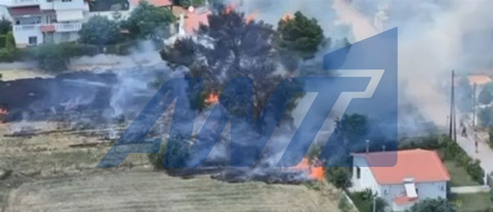 Κρυονέρι Αττικής: Συνελήφθη ηλικιωμένος που προκάλεσε πυρκαγιά καίγοντας κλαδιά (βίντεο)