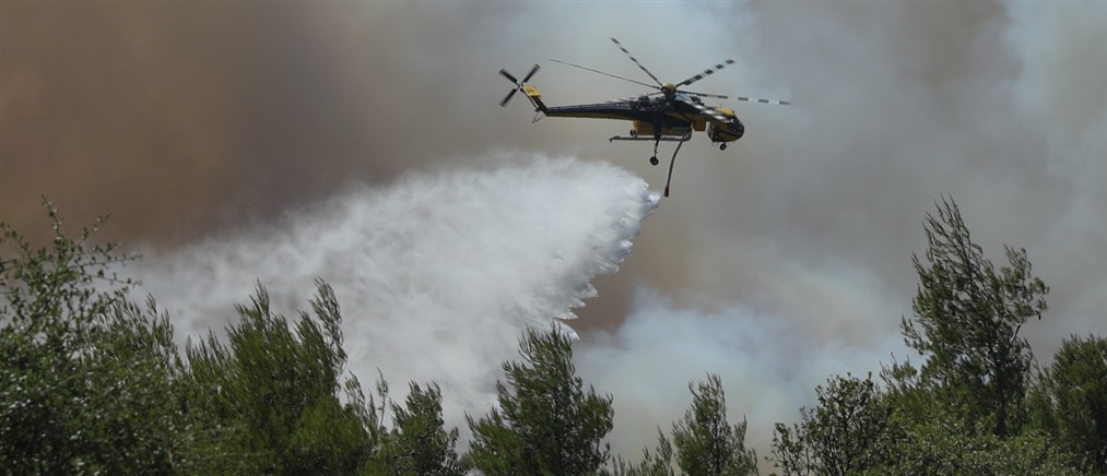Φωτιά στον Άγιο Λαυρέντιο της Μαγνησίας - Κινητοποιήθηκαν 3 αεροσκάφη