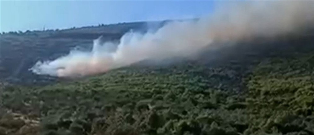 Αποκλειστικές εικόνες του ΑΝΤ1: Το "σημείο μηδέν" έδειξε τα αίτια της φωτιάς στη Βοιωτία