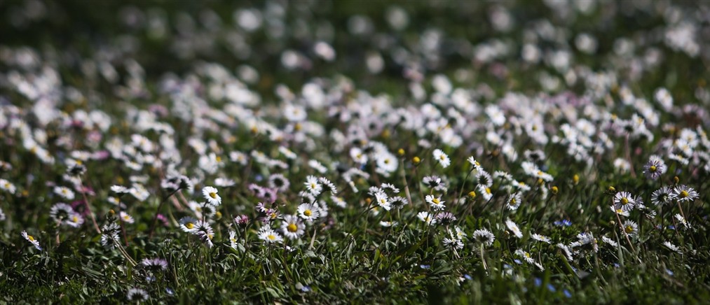 Τι καιρό θα κάνει την Τετάρτη