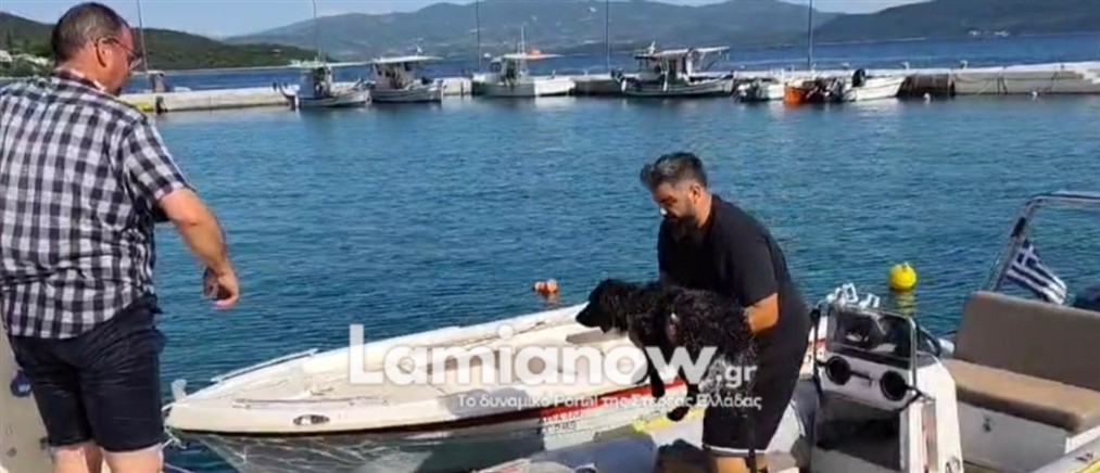 Γλύφα Φθιώτιδας: Βγήκαν με φουσκωτό στα ανοιχτά για να σώσουν σκύλο (βίντεο)