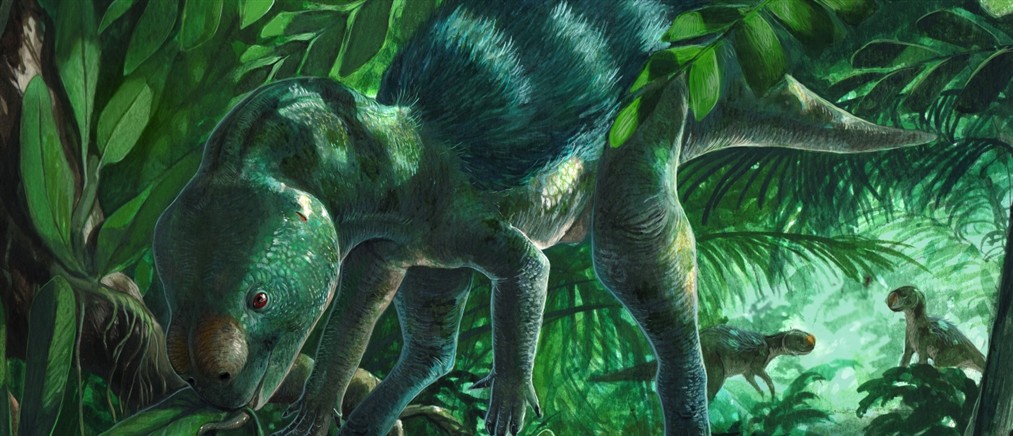 Ισπανία: Ανακάλυψη απολιθωμάτων μικροσκοπικού δεινόσαυρου -  Την ιδιαίτερη σημασία των ευρημάτων τονίζουν οι ερευνητές