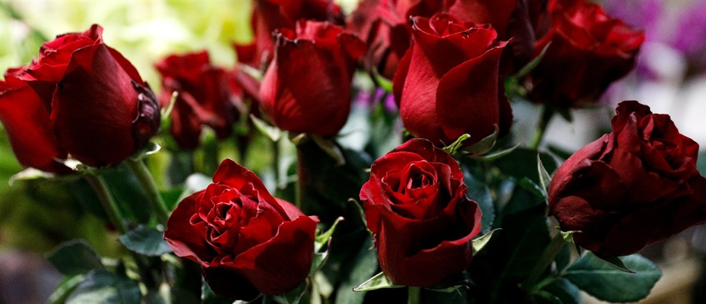 Εορτολόγιο: Ποιοι γιορτάζουν σήμερα 14 Απριλίου