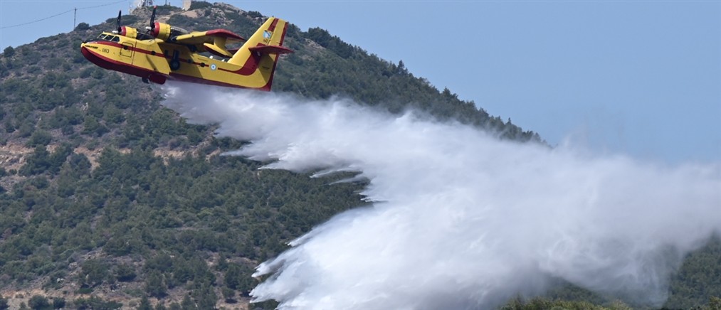 Υπό έλεγχο η πυρκαγιά σε γεωργική έκταση στην Πύλο
