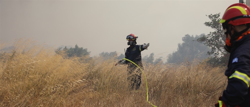 Περισσότερα από 7000 στρέμματα η πληγείσα έκταση από την πυρκαγιά στην Αιγιάλεια