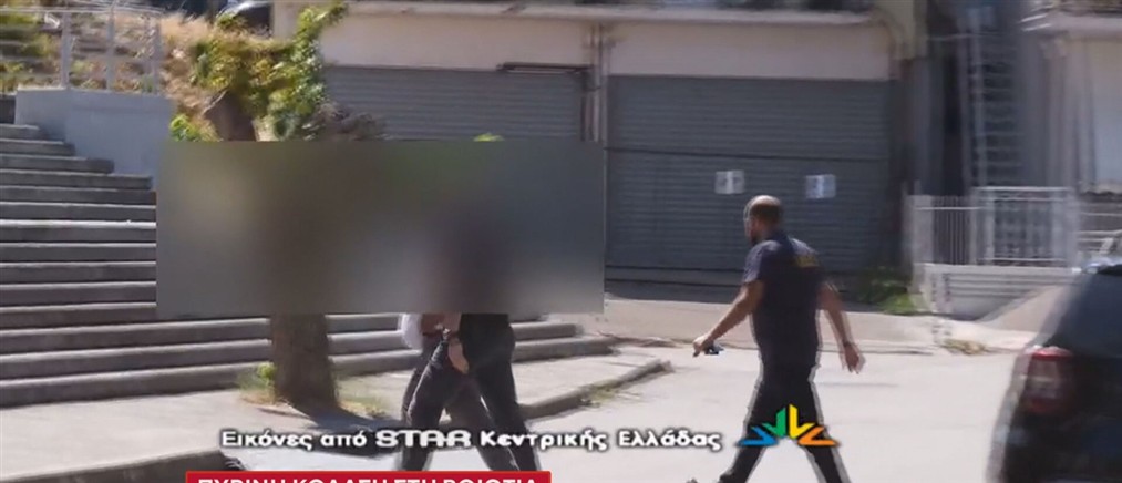 Πύρινη κόλαση στην Βοιωτία - Συνελήφθησαν εργολάβος και ηλεκτρολόγος μηχανικός