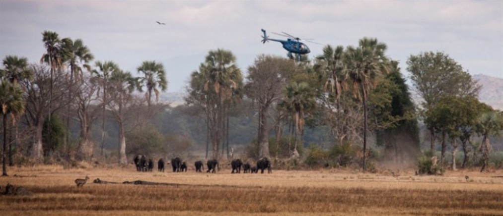 Μαλάουι: Διοργάνωσαν κηδεία για να μεταφέρουν λαθραία!