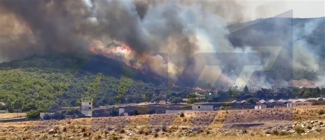 Σε Κανδήλι και Ψάθα η μεγάλη μάχη με την πυρκαγιά στη Δυτική Αττική - Ήχησε το 112 για εκκένωση περιοχών