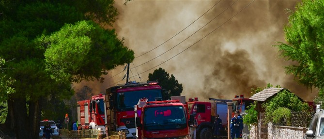 Πυρκαγιά ξέσπασε σε χαμηλή βλάστηση στην περιοχή Μεγαλη Χωρα Αγρινίου