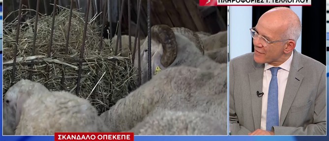 Τέλλογλου - ΟΠΕΚΕΠΕ: "Την πλήρωσαν" κτηνοτρόφοι - Ατιμώρητοι πολιτικοί