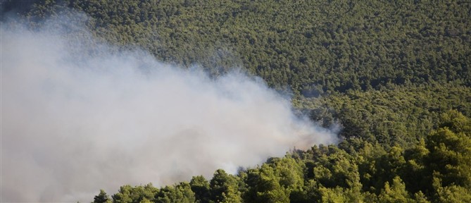 Πόρτο Γερμενό: Ενισχύονται τα εναέρια μέσα στη μάχη με τις φλόγες - Αγώνας δρόμου πριν πέσει η νύχτα