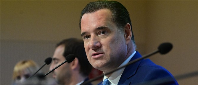 Γεωργιάδης για τον θάνατο της 19χρονης στην Κεφαλονιά: Έγιναν όλες οι απαραίτητες προσπάθειες