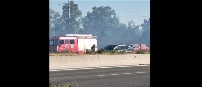 Φωτιά στους Αγίους Θεοδώρους - Διακοπή στα δρομολόγια του Προαστιακού (βίντεο)