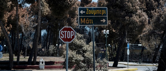 Μάτι - Σύλλογος Συγγενών Θανόντων και Εγκαυματιών: Ο έντιμος βίος δεν μπορεί να μετριέται μόνο από το τυπικό λευκό ποινικό μητρώο