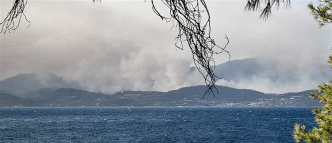 Συνεχίζεται η μάχη με τα πύρινα μέτωπα σε Αττική, Βοιωτία και Φωκίδα